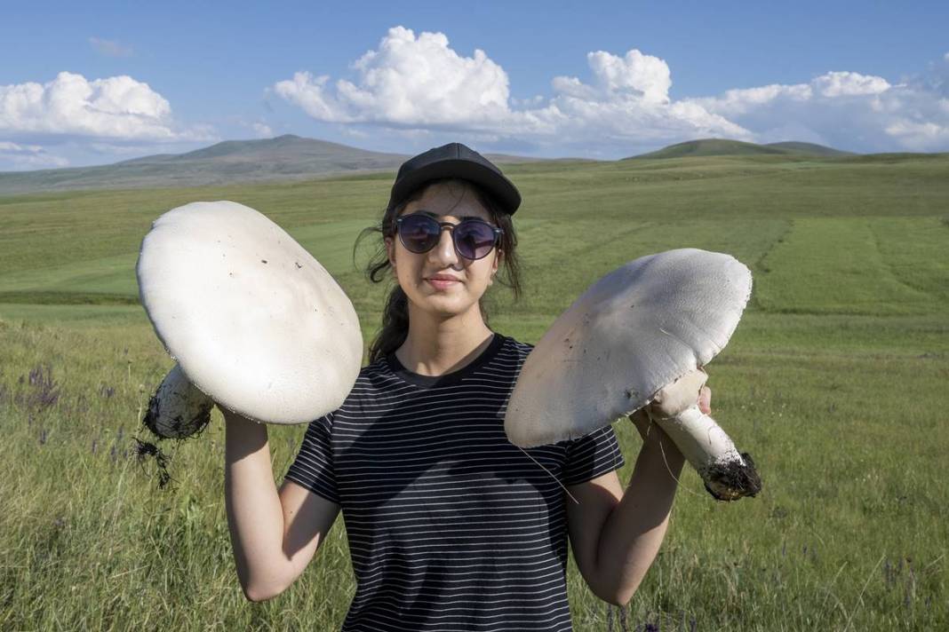 Yağmurdan sonra şaşırtan manzara: Böylesi görülmedi! 40 cm çapında, köylüler bile hayrete düştü 3
